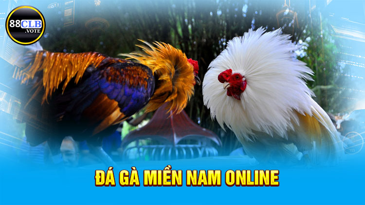 da-ga-mien-nam-online