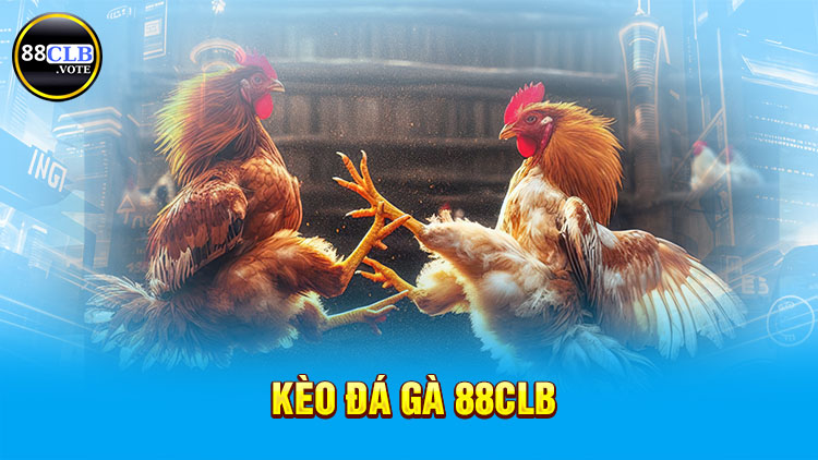 keo-da-ga-88clb