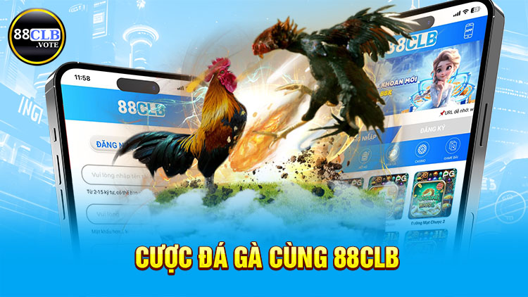 cuoc-da-ga-cung-88clb