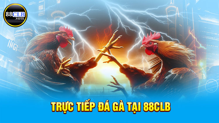 truc-tiep-da-ga-tai-88clb