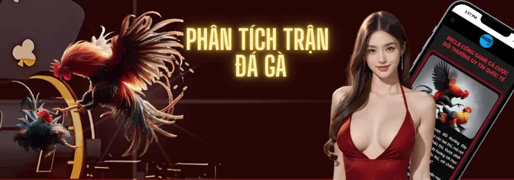 phan-tich-tran-da-ga